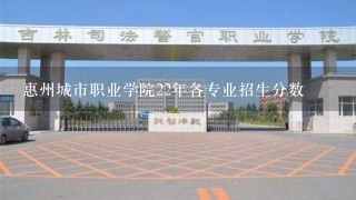 惠州城市职业学院22年各专业招生分数