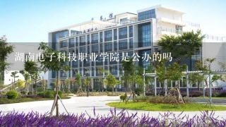 湖南电子科技职业学院是公办的吗