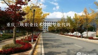 重庆3峡职业技术学院专业代码