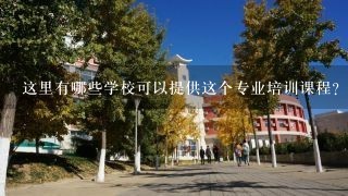 这里有哪些学校可以提供这个专业培训课程？