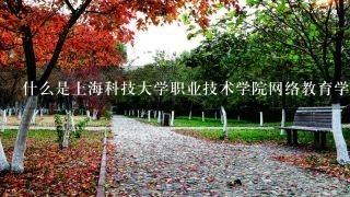 什么是上海科技大学职业技术学院网络教育学院