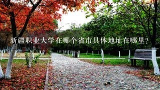 新疆职业大学在哪个省市具体地址在哪里