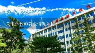 关于学校的就业情况如何