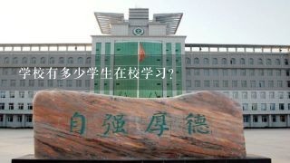 学校有多少学生在校学习