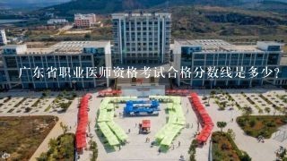 广东省职业医师资格考试合格分数线是多少