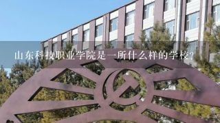 山东科技职业学院是一所什么样的学校