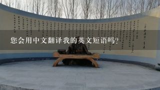 您会用中文翻译我的英文短语吗
