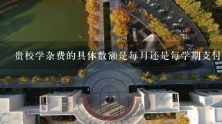 贵校学杂费的具体数额是每月还是每学期支付