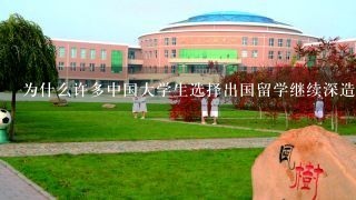 为什么许多中国大学生选择出国留学继续深造