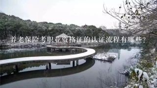 养老保险考职业资格证的认证流程有哪些?