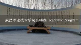 武汉职业技术学院有哪些 academic program 和 course offerings?