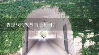 省控线的发展前景如何?