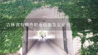 吉林省有哪些职业技能鉴定证书?