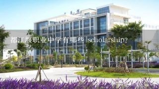 都江堰职业中学有哪些 scholarship?