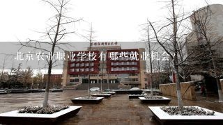 北京农业职业学校有哪些就业机会?