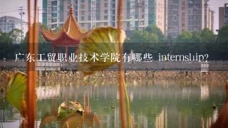 广东工贸职业技术学院有哪些 internship?