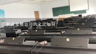 职业发展公司的文化如何?