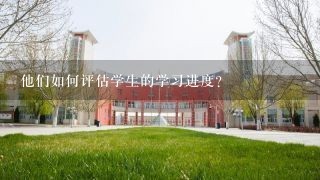 他们如何评估学生的学习进度?